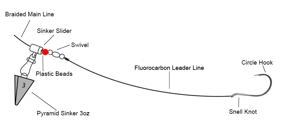 Fish finder rig diagram, braided main line, sinker slider, swivel, fluorocarbon leader, pyramid sinker and circle hook