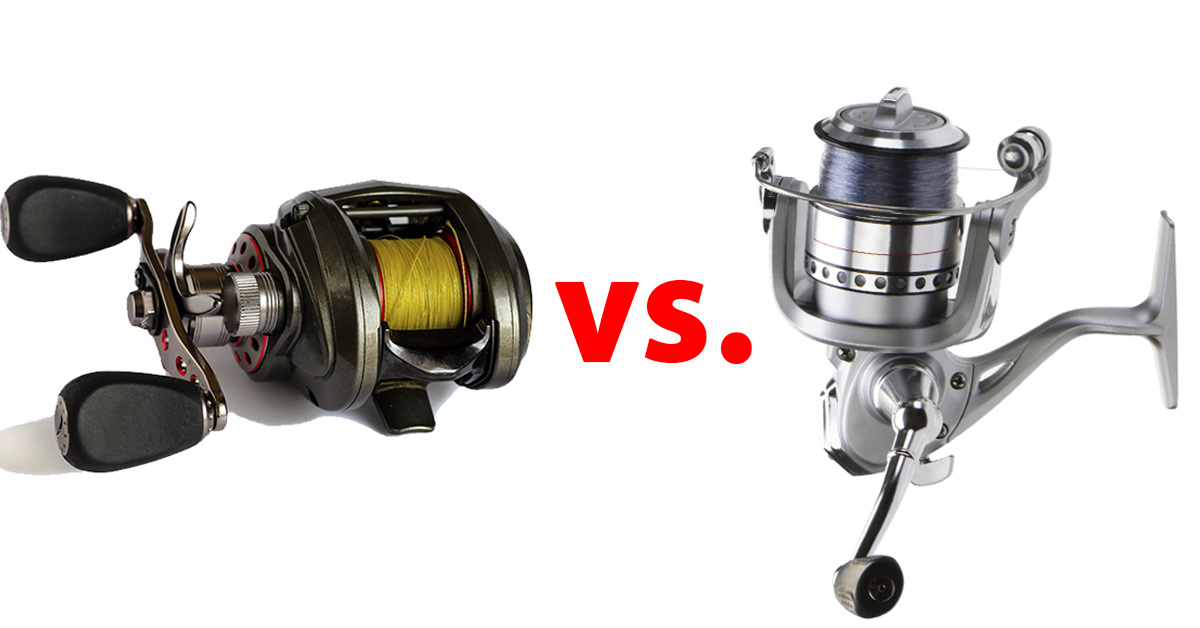 Shimano vs Daiwa vs Penn
