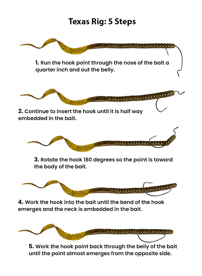 Texas rig 5 steps, how to rig a soft plastic worm